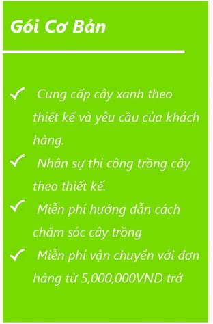 Gói 1 - Chi Nhánh TP. Hồ Chí Minh - Công Ty TNHH Cảnh Quan Trẻ